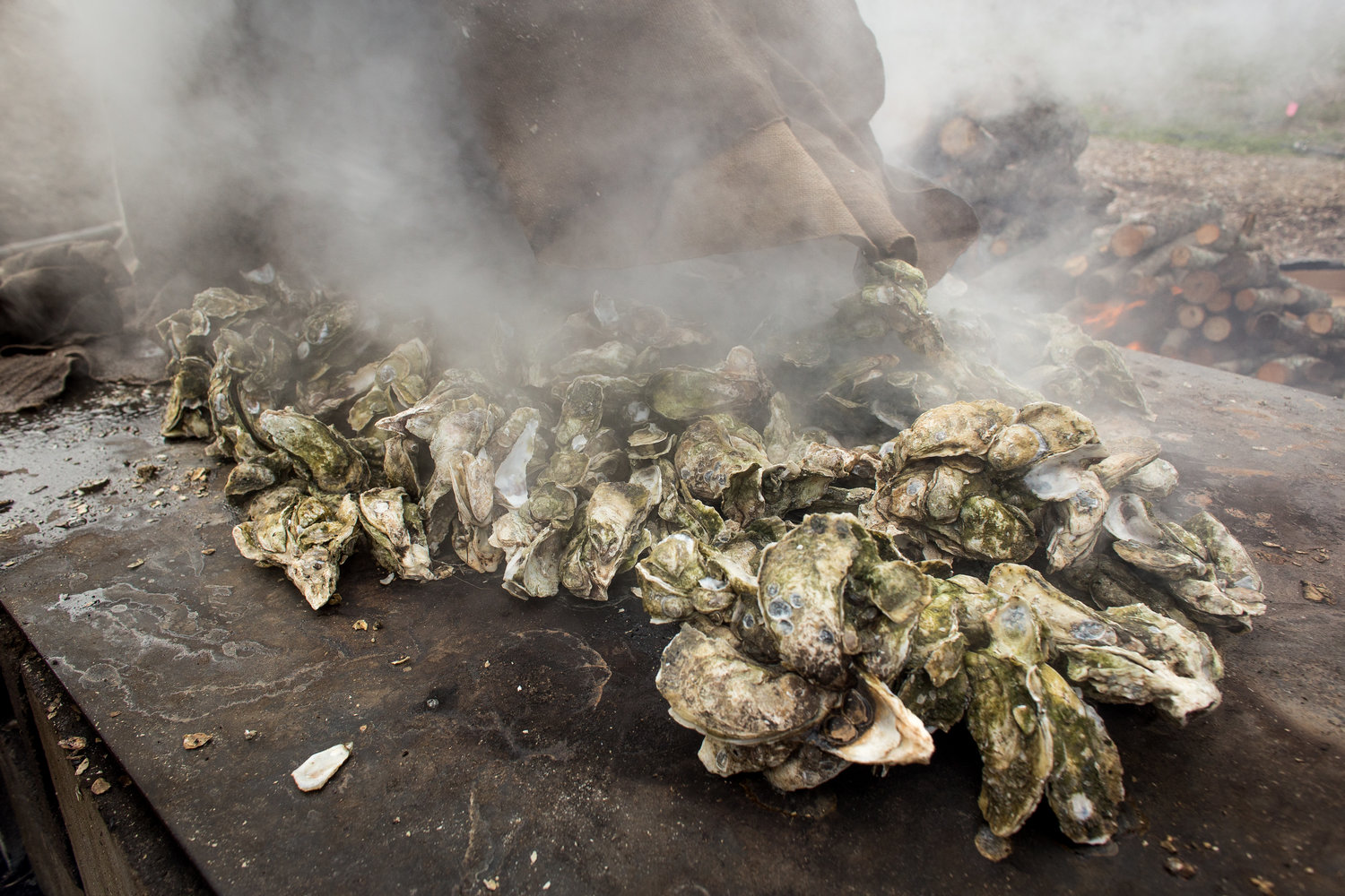 Oysters on the Point with Hans Wenzel's Harry Chronic Jr. Tickets