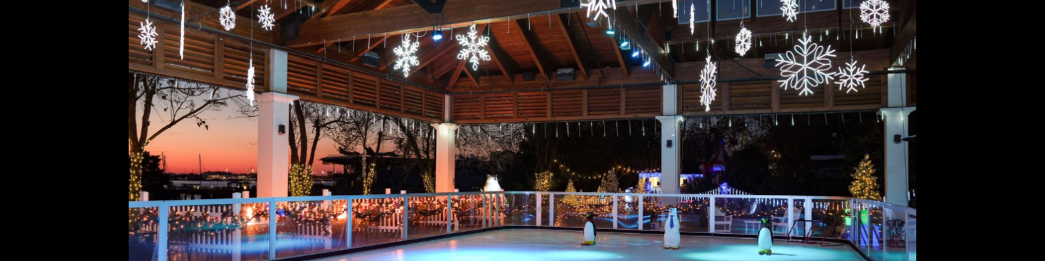 Synthetic Ice Skating at the Charleston Harbor Resort & Marina Lookout Pavilion